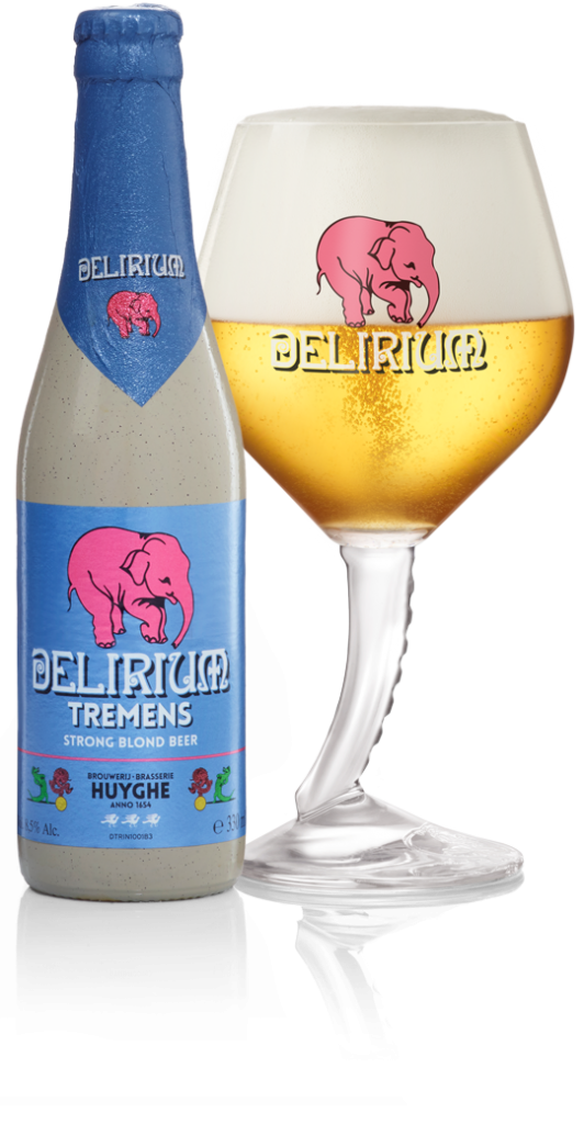 elephant drinking beer
